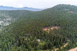 11173 S Barney Gulch Rd, Conifer, CO 80433 - Photo 8