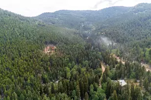 11173 S Barney Gulch Rd, Conifer, CO 80433 - Photo 14