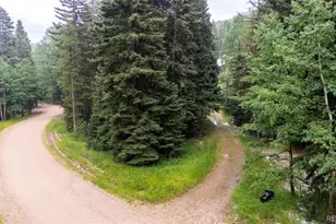 11173 S Barney Gulch Rd, Conifer, CO 80433 - Photo 4