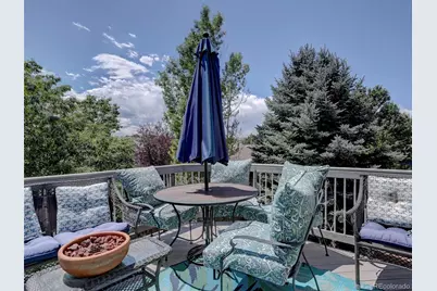 3616 Buffalo Grass Lane, Castle Rock, CO 80109 - Photo 38
