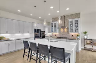10401 Maplebrook Wy, Highlands Ranch, CO 80126 - Photo 14