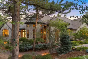 968 Country Club Pkwy, Castle Rock, CO 80108 - Photo 42