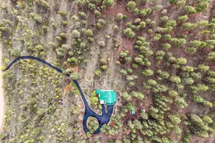 2169 Vigilante Ave, Bailey, CO 80421 - Photo 18