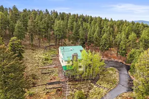 2169 Vigilante Ave, Bailey, CO 80421 - Photo 20