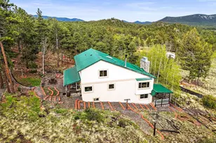 2169 Vigilante Ave, Bailey, CO 80421 - Photo 22