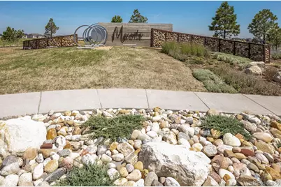 2851 Fellswoop Drive, Castle Rock, CO 80108 - Photo 46