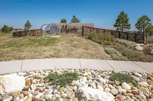 2851 Fellswoop Dr, Castle Rock, CO 80108 - Photo 46