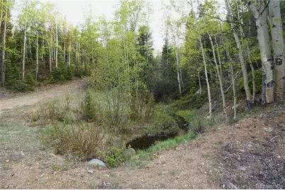 000 Trail Creek Road, Idaho Springs, CO 80452 - Photo 2