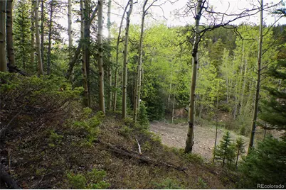 000 Trail Creek Road, Idaho Springs, CO 80452 - Photo 10