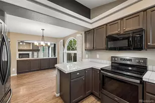 1131 Laurenwood Way, Highlands Ranch, CO 80129 - Photo 4