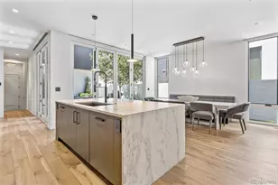 223 Garfield St, Denver, CO 80206 - Photo 10