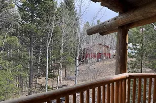 101 Service Berry Ln, Black Hawk, CO 80422 - Photo 8