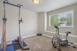 884 Cliffrose Way, Severance, CO 80550 - Photo 24
