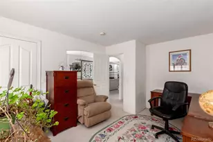 10105 Charissglen Ln, Highlands Ranch, CO 80126 - Photo 40