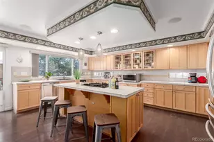 10105 Charissglen Ln, Highlands Ranch, CO 80126 - Photo 14