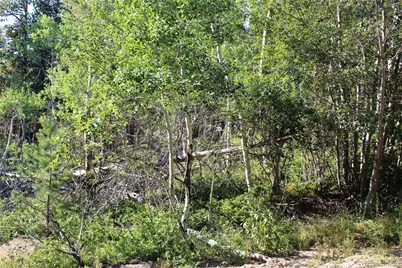Lot 028 Sunflower Lane, Black Hawk, CO 80422 - Photo 2