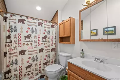 838 Silver Creek Road, Idaho Springs, CO 80452 - Photo 12