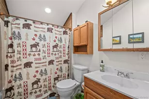 838 Silver Creek Rd, Idaho Springs, CO 80452 - Photo 12