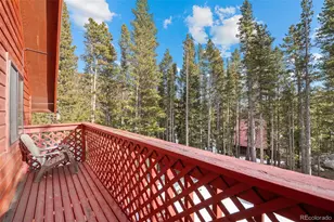 838 Silver Creek Rd, Idaho Springs, CO 80452 - Photo 16