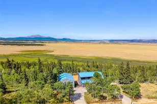 597 Sheep Ridge Rd, Fairplay, CO 80440 - Photo 46