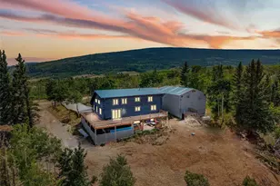 597 Sheep Ridge Rd, Fairplay, CO 80440 - Photo 2