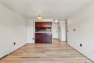 1008 N Corona Street, Denver, CO 80218 - Photo 6