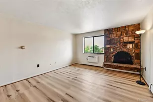 1008 N Corona Street, Denver, CO 80218 - Photo 4