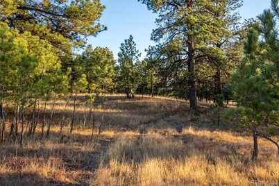 N/A Woodhaven Ridge Road, Parker, CO 80134 - Photo 4