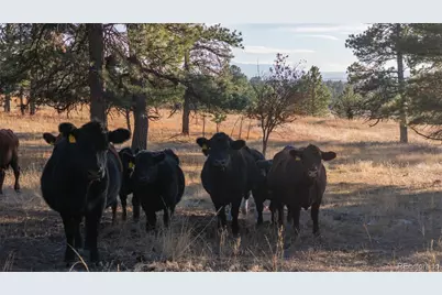 N/A Woodhaven Ridge Road, Parker, CO 80134 - Photo 20