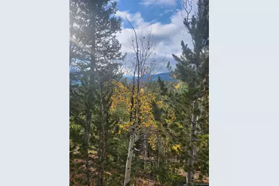 72 Hall Road, Bailey, CO 80421 - Photo 6