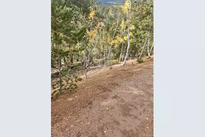 72 Hall Road, Bailey, CO 80421 - Photo 8