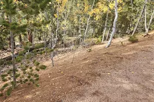 72 Hall Rd, Bailey, CO 80421 - Photo 8