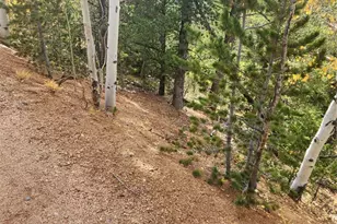 72 Hall Rd, Bailey, CO 80421 - Photo 4