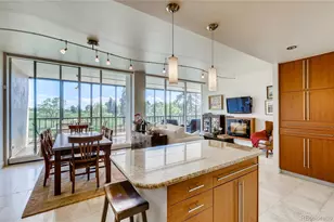 1201 N Williams St, Denver, CO 80218 - Photo 10