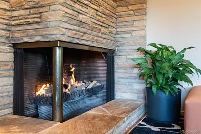 230 Monaco Parkway, Denver, CO 80220 - Photo 4
