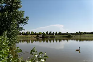 22333 E 46th Ave, Aurora, CO 80019 - Photo 38