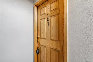 80 Cove Blvd, Dillon, CO 80435 - Photo 28