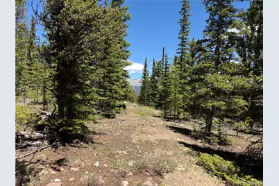 339 Silverheels Place, Fairplay, CO 80440 - Photo 8