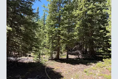 339 Silverheels Place, Fairplay, CO 80440 - Photo 10