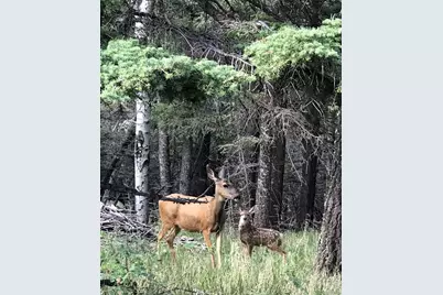 10401 Windy Ridge Road, Aguilar, CO 81020 - Photo 18