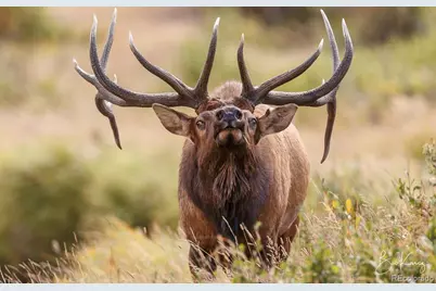 136 Elk Meadow Run, Antonito, CO 81120 - Photo 14