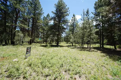 136 Elk Meadow Run, Antonito, CO 81120 - Photo 20
