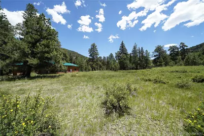 136 Elk Meadow Run, Antonito, CO 81120 - Photo 10
