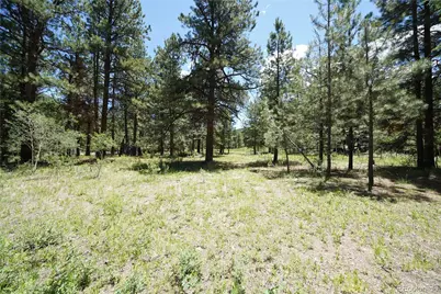 136 Elk Meadow Run, Antonito, CO 81120 - Photo 2