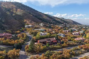 10541 Sandstone Run, Littleton, CO 80125 - Photo 36