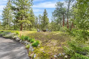 166 S Rainbow Trail, Evergreen, CO 80439 - Photo 44