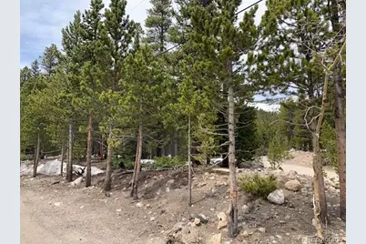1090 Alice Road, Idaho Springs, CO 80452 - Photo 2