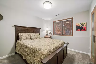 29859 Park Village Drive, Evergreen, CO 80439 - Photo 24