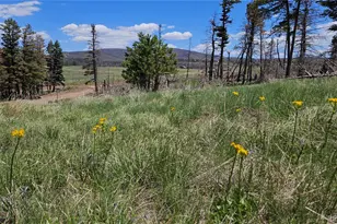 448 Wagon Mesa Loop, Fort Garland, CO 81133 - Photo 1