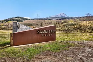 836 Maryland Creek Rd, Silverthorne, CO 80498 - Photo 32